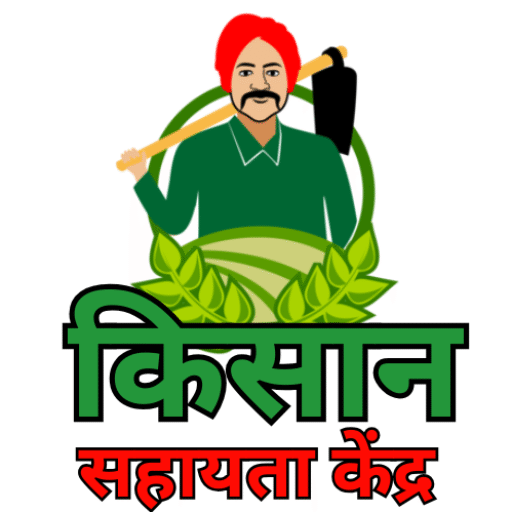 MSP का गणित टूटा ? 2025 में कानूनी गारंटी के बिना किसानों के विकल्प