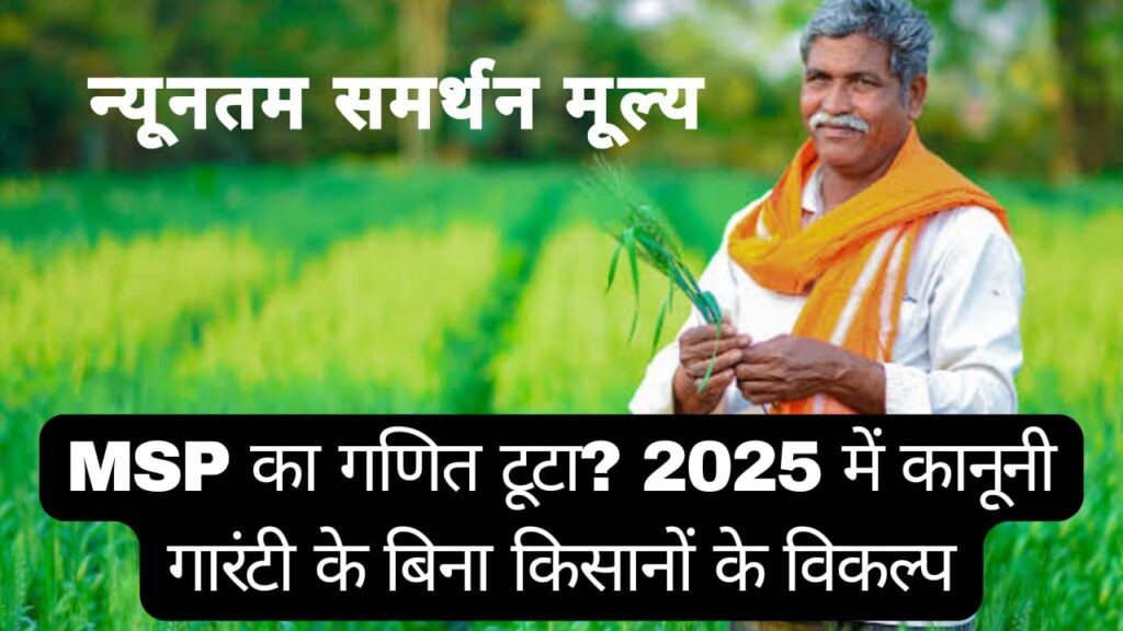 MSP का गणित टूटा ? 2025 में कानूनी गारंटी के बिना किसानों के विकल्प