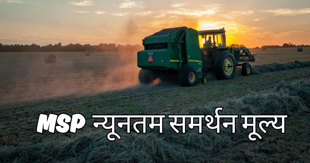 MSP का गणित टूटा ? 2025 में कानूनी गारंटी के बिना किसानों के विकल्प