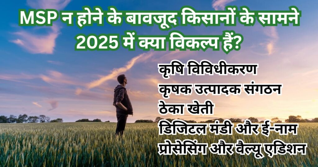 MSP का गणित टूटा ? 2025 में कानूनी गारंटी के बिना किसानों के विकल्प