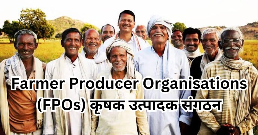 MSP का गणित टूटा ? 2025 में कानूनी गारंटी के बिना किसानों के विकल्प