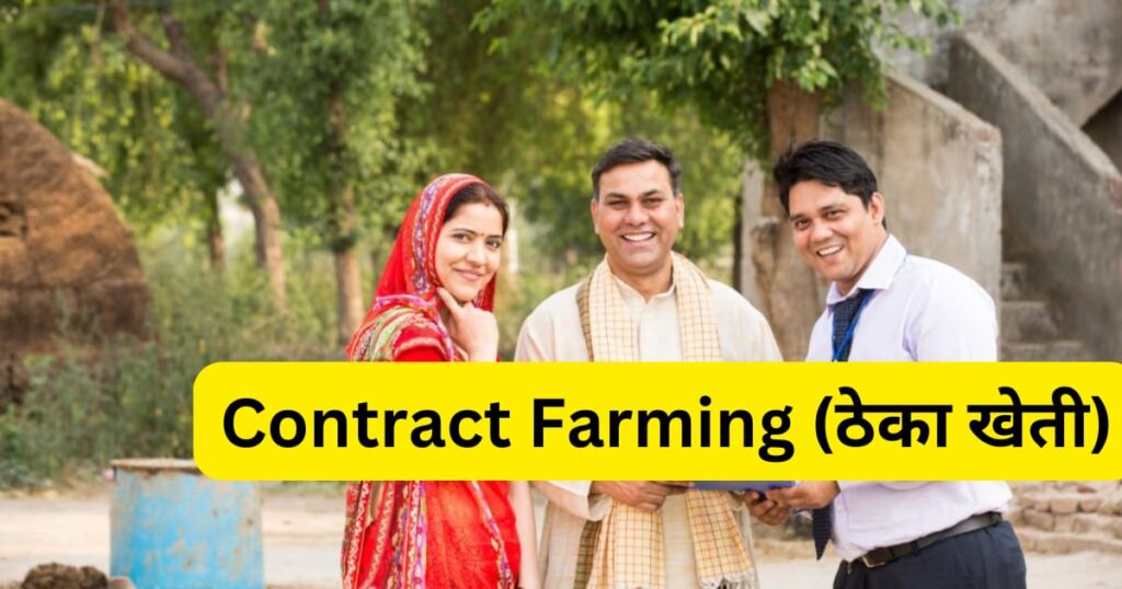 MSP का गणित टूटा ? 2025 में कानूनी गारंटी के बिना किसानों के विकल्प